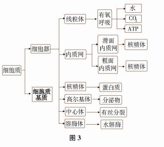 ��������̌W(xu��)Փ�ġ�����D����������̌W(xu��)�r(ji��)ֵ