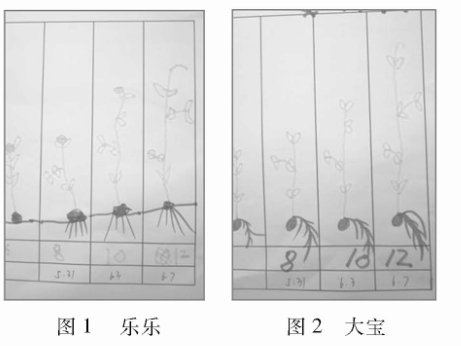 �D��(bi��o)�ڿƌW(xu��)�^�조�Nֲ�㶹������е�˼��