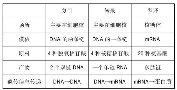 談在教學(xué)中養(yǎng)成概念辨析的幾種方式