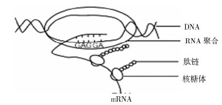 �\Մ���}�c��&nbsp;������2013������߿��}