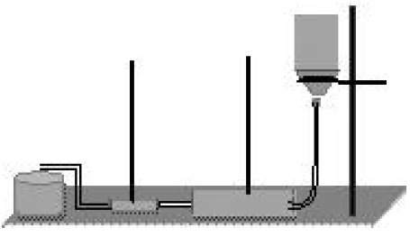 �������w����(qi��ng)�c�����P(gu��n)ϵ��ʾ�̾ߵ�̽��