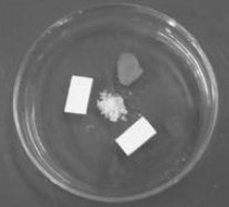 經(jīng)歷“磨課”淬煉團(tuán)隊(duì)成就學(xué)生