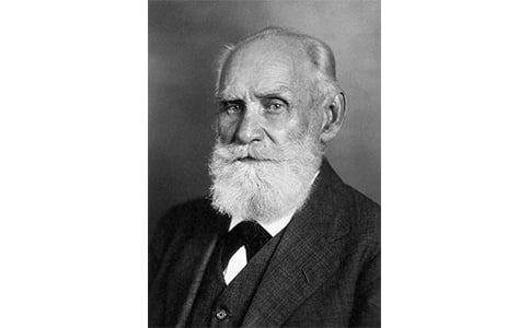 ���͸�����æ��