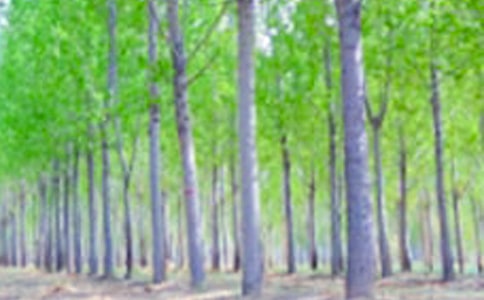 �P�ڰח�����