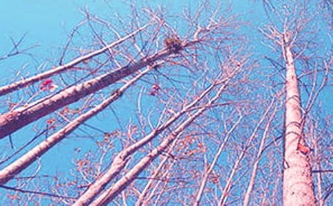 �P(gu��n)�ڰח�������4ƪ