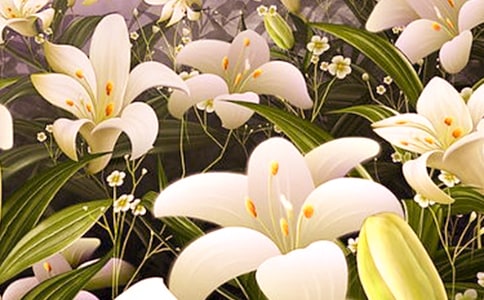 ���ٺϻ���...