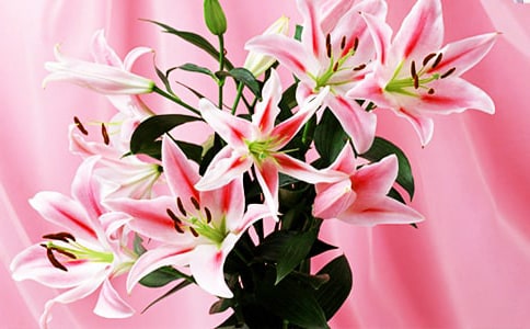 �ٺϻ������c(di��n)��(y��u)�����ģ����x35ƪ��