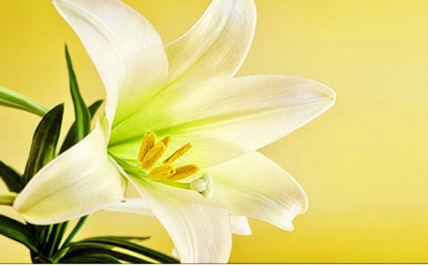 ���ٺϻ��ă�(y��u)�����ģ����x3ƪ��