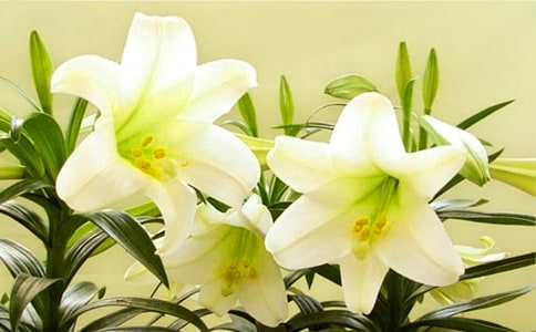 �ٺϻ���(y��u)�����ģ����x3ƪ��