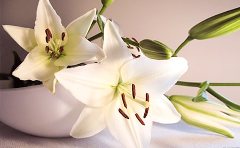 �ٺϻ�֮�s_750��