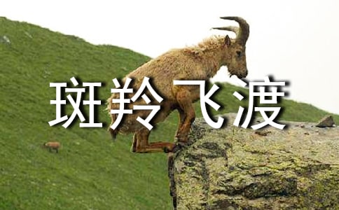 ��һ�԰����w��