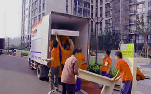 《小兔搬家》中班體育教案