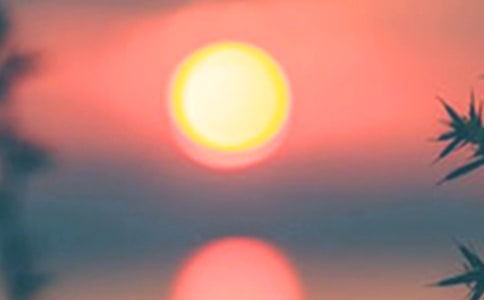 �����ĺ�߅����