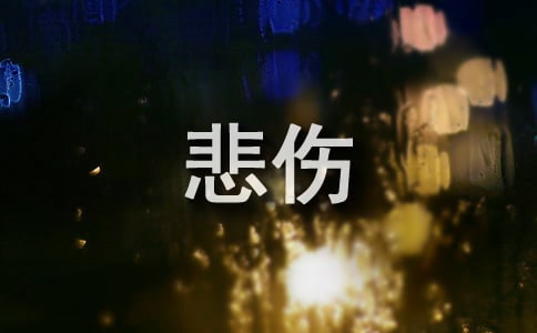 ���ñ������Z�30�l