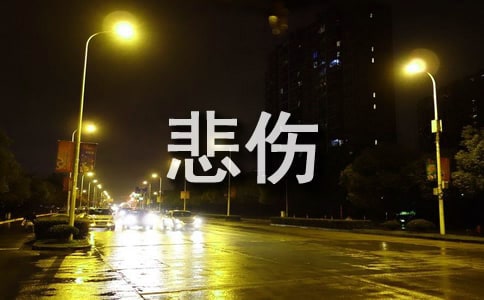 �̲�ס��������