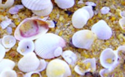 ��ؐ����ȸ���а����g(sh��)�̰�