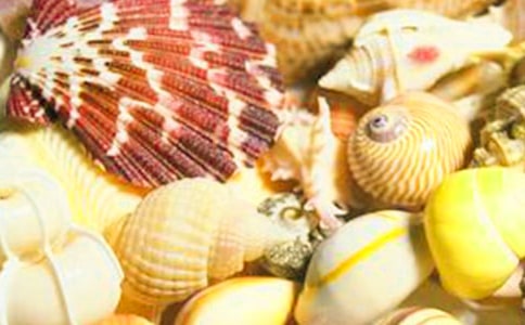 ��ؐ������15ƪ