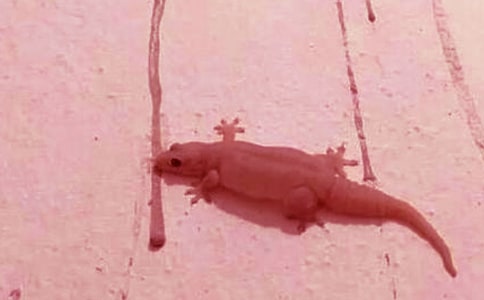 С�ڻ���β�ͽ̌W(xu��)�O(sh��)Ӌ(j��)����