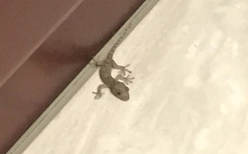 С�ڻ���β������ͨ��15ƪ