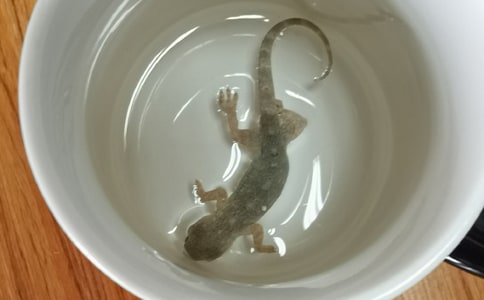 ��С�ڻ���β�͡��Ľ̰����]