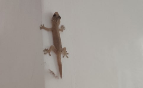 С�ڻ���β������(ͨ��15ƪ)