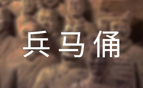 中國(guó)文化遺產(chǎn)兵馬俑作文(通用47篇)
