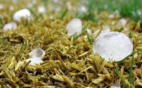 �±�������