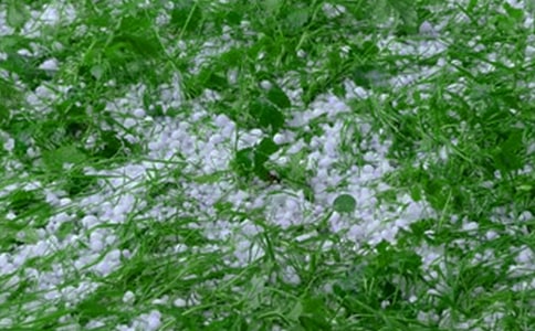 �P(gu��n)�ڱ�������