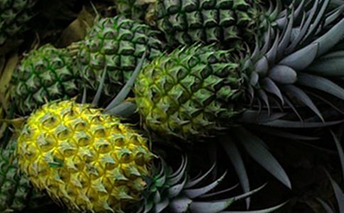 ���}����������(6ƪ)