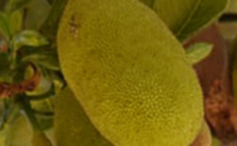 �óԵĲ��}�����ģ����x10ƪ��