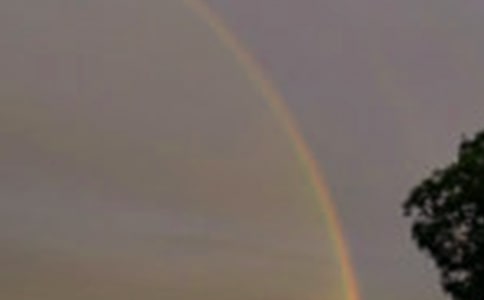 ���g(sh��)�̰����߲ʺ�