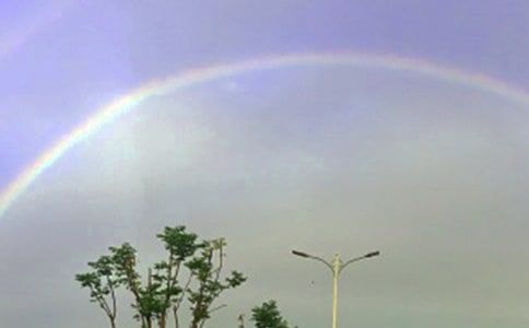 彩虹的微笑作文