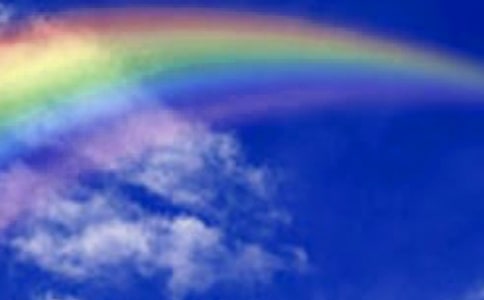 �茑(xi��)�ʺ�ľ���