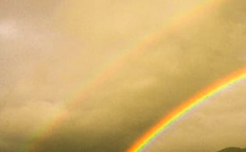 彩虹的句子460句