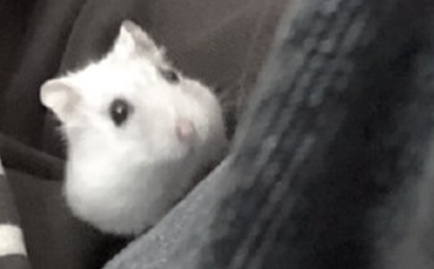 �ҼҵĂ}(c��ng)������