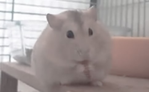 �}(c��ng)��(y��u)�����ġ����A15ƪ��