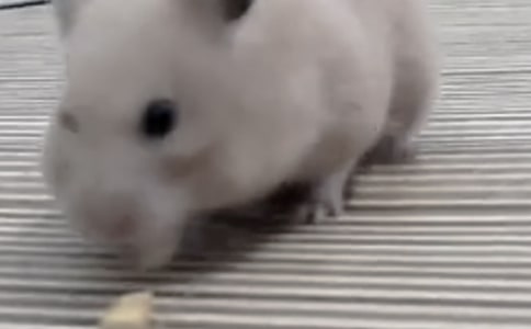 �����T���}��(y��u)������