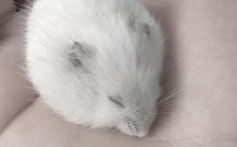 �}��Ԓ�}����