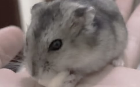 �}�������