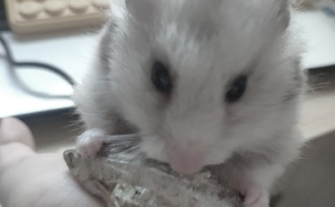 �B(y��ng)�}������