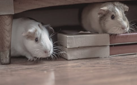 �B(y��ng)�}������