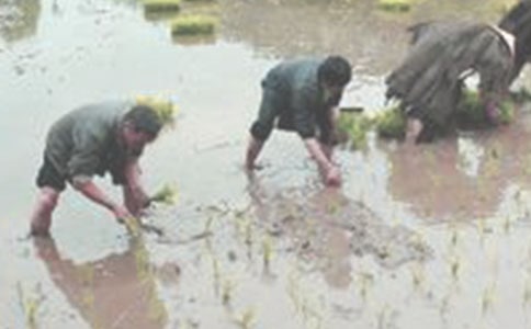 ��������