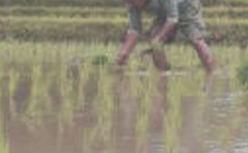 ���������̰��O(sh��)Ӌ