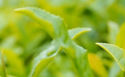 ���~�a(ch��n)�I(y��)�������Y(ji��)