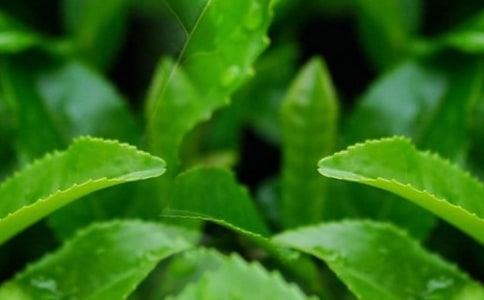 ���~��(sh��)��(x��)��(b��o)����ƪ