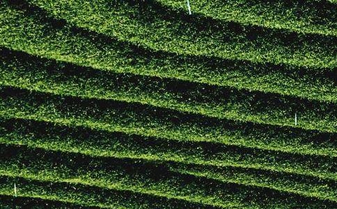 �ϰ�����~�a(ch��n)�I(y��)�������Y(ji��)