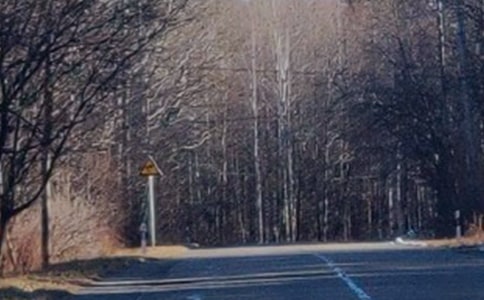 �L(zh��ng)��ɽ��ɫ�ă�(y��u)�����ģ�ͨ��38ƪ��