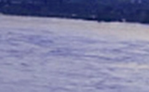 長江生態(tài)環(huán)境保護(hù)工作情況匯報范文(通用7篇)