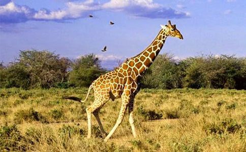 ������g(sh��)�L�i¹�̰�13ƪ