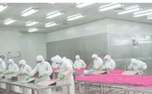 (合集)車間技術(shù)人員個人年終工作總結(jié)7篇